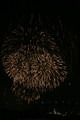 IMG_2681.JPG.small.jpeg