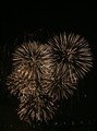 IMG_2683_e.JPG.small.jpeg
