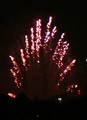 IMG_2695_e.JPG.small.jpeg