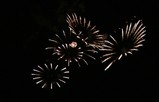 IMG_2724_e.JPG.small.jpeg