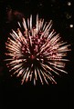 IMG_2786_e.JPG.small.jpeg