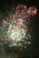 IMG_2831_e.JPG.small.jpeg