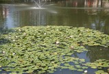 IMG_2907_e.JPG.small.jpeg
