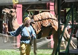 IMG_2908_e.JPG.small.jpeg