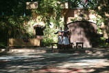 IMG_3009.JPG.small.jpeg