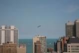 IMG_3078.JPG.small.jpeg