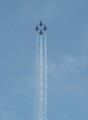 IMG_3107_e.JPG.small.jpeg