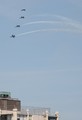 IMG_3116_e.JPG.small.jpeg