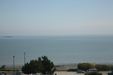 IMG_3219.JPG.small.jpeg