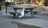 IMG_3259_e.JPG.small.jpeg