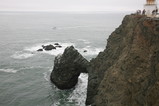 IMG_3323.JPG.small.jpeg