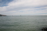 IMG_3337.JPG.small.jpeg