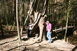 IMG_3524.JPG.small.jpeg
