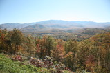 IMG_3537.JPG.small.jpeg