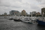 IMG_3570.JPG.small.jpeg