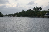 IMG_3575.JPG.small.jpeg