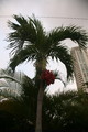 IMG_3584.JPG.small.jpeg