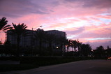 IMG_3587.JPG.small.jpeg