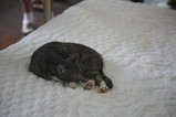 IMG_3590.JPG.small.jpeg