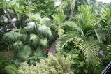 IMG_3597.JPG.small.jpeg
