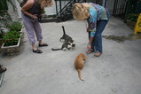 IMG_3599.JPG.small.jpeg