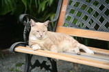 IMG_3622.JPG.small.jpeg