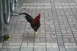 IMG_3642.JPG.small.jpeg