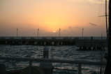 IMG_3698.JPG.small.jpeg