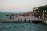 IMG_3701.JPG.small.jpeg
