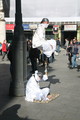 IMG_3721.JPG.small.jpeg