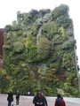 IMG_3752_e.JPG.small.jpeg