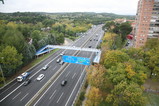 IMG_3768.JPG.small.jpeg