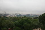IMG_3775.JPG.small.jpeg