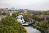 IMG_3796.JPG.small.jpeg