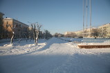 IMG_3936.JPG.small.jpeg