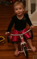 IMG_4110_e.JPG.small.jpeg
