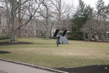 IMG_4131.JPG.small.jpeg
