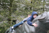 IMG_4145.JPG.small.jpeg