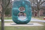 IMG_4151.JPG.small.jpeg