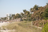 IMG_4168.JPG.small.jpeg