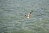 IMG_4197.JPG.small.jpeg