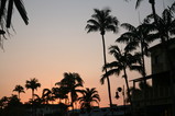 IMG_4205.JPG.small.jpeg