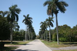 IMG_4209.JPG.small.jpeg