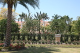 IMG_4211.JPG.small.jpeg