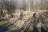 IMG_4231.JPG.small.jpeg