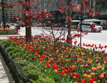 IMG_4313_e.JPG.small.jpeg