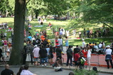 IMG_4458.JPG.small.jpeg