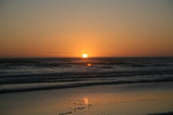 IMG_4537.JPG.small.jpeg
