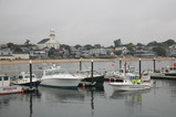 IMG_4804.JPG.small.jpeg