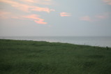 IMG_4812.JPG.small.jpeg